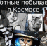 Первые в космосе - ЦБС города Лермонтова